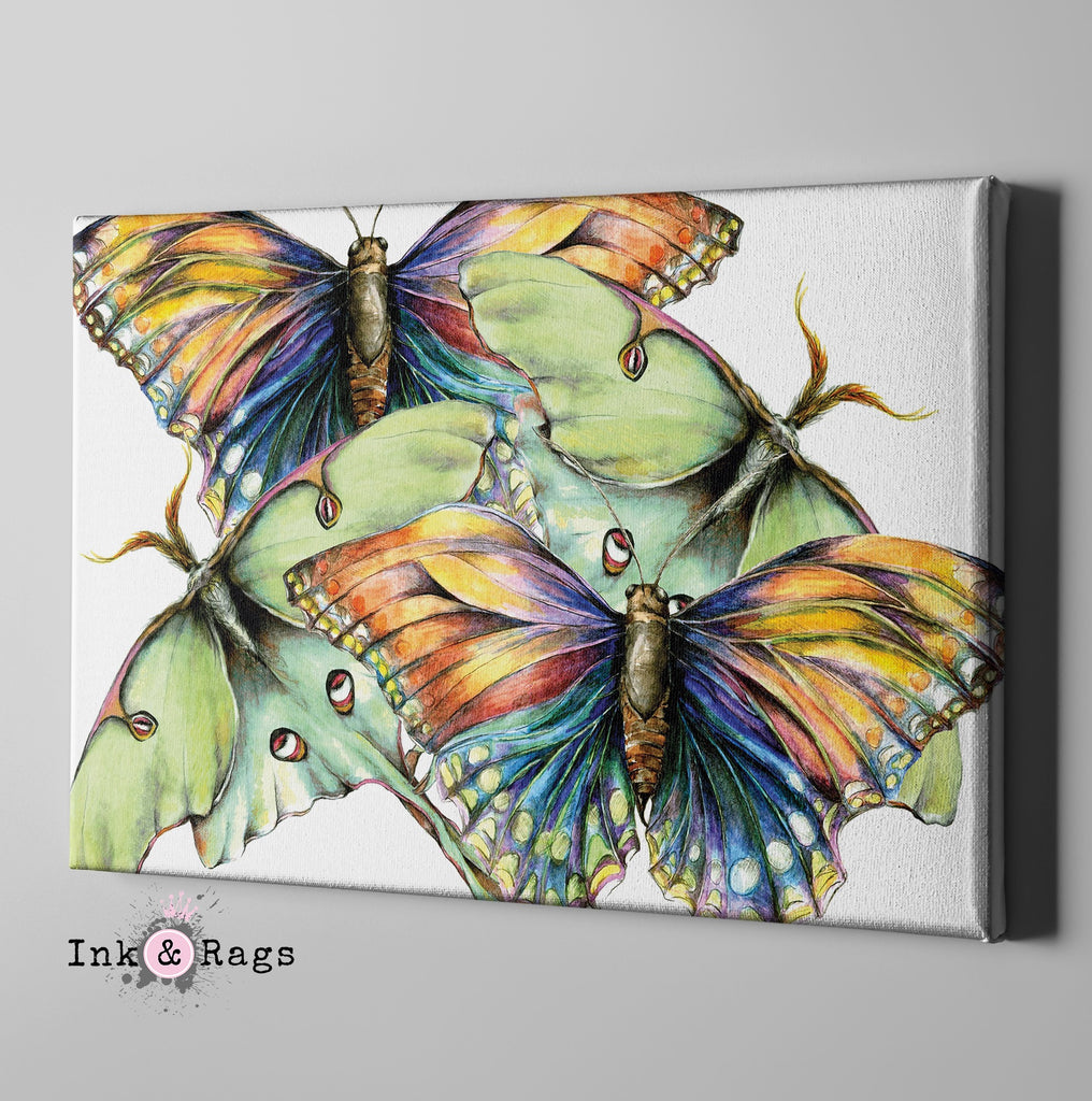 Butterfly and Luna Moth Watercolor Gallery Wrapped Canvas